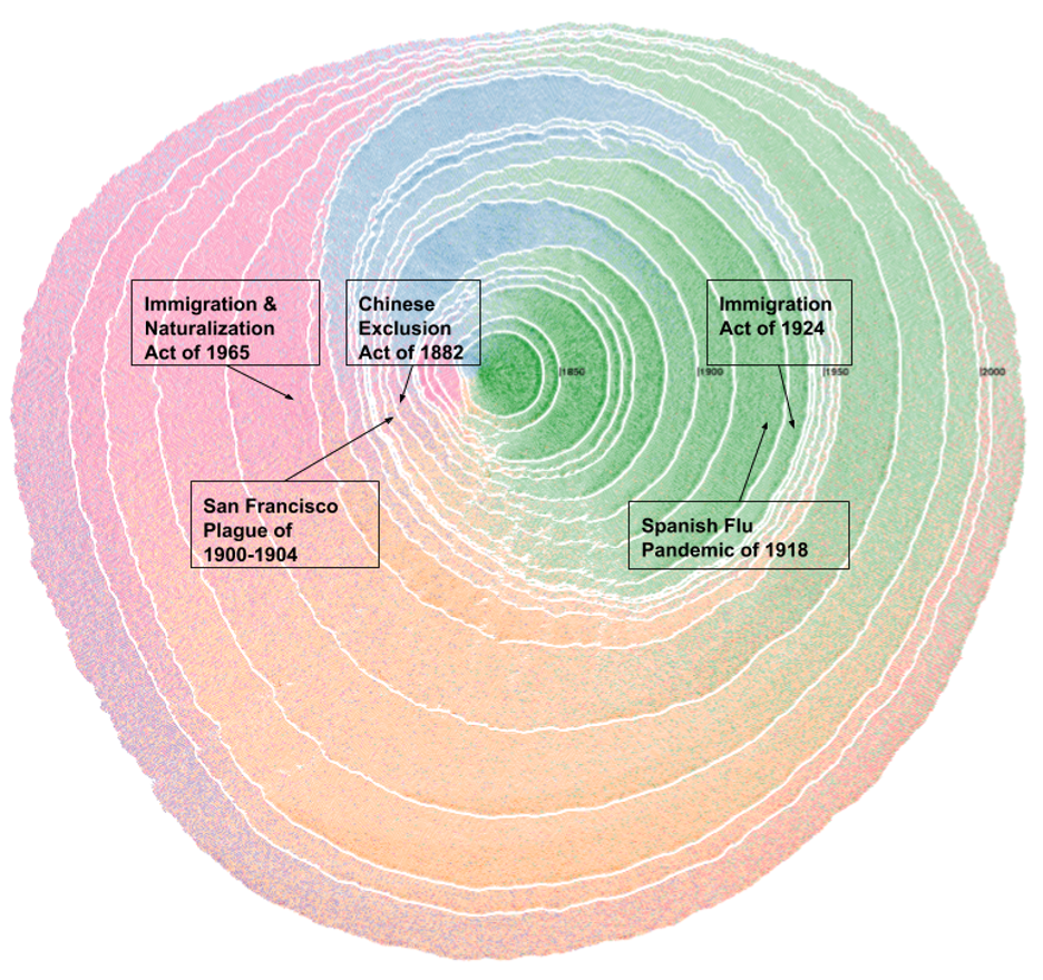 Mapping US Immigration Flow Using Dendrochronology