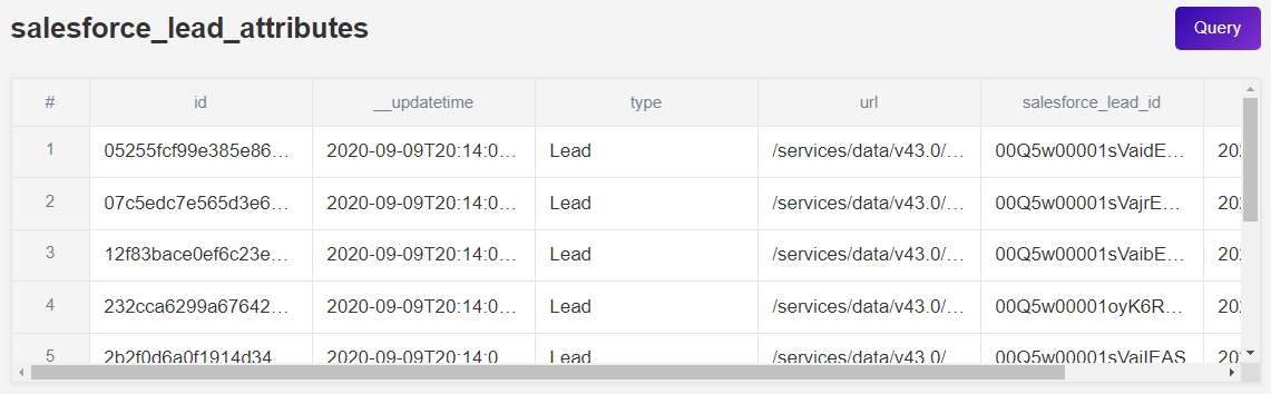 A Salesforce child-level table in Panoply.