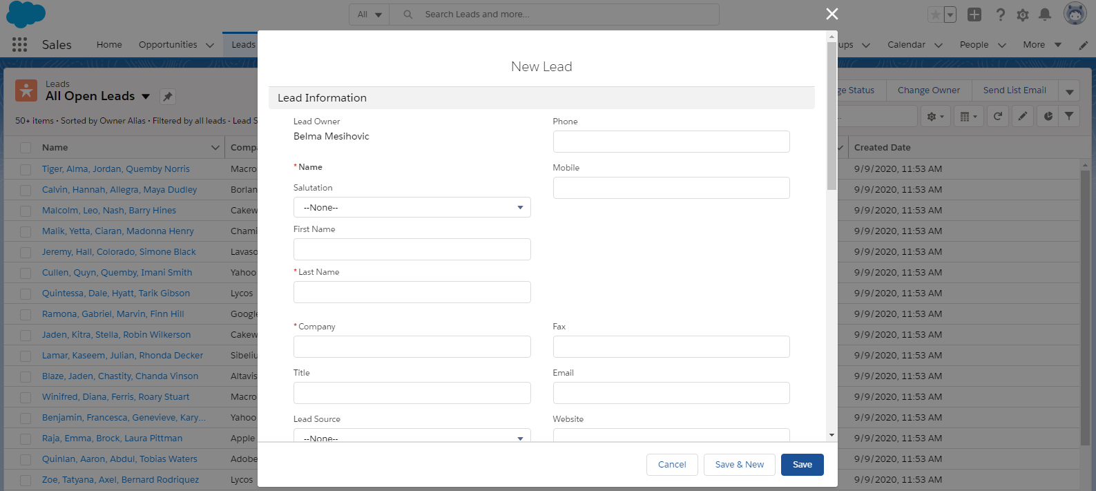 A screen capture of the Salesforce Leads data group.