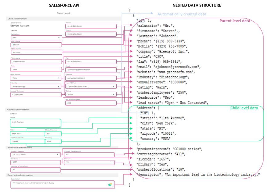 A schematic showing how the Salesforce Leads API's nested data structure.