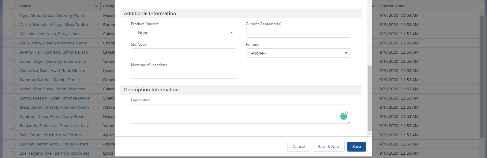 In Salesforce's data model, Description Information looks like a child of Additional Information, but both sets of fields share the same hierarchical level.