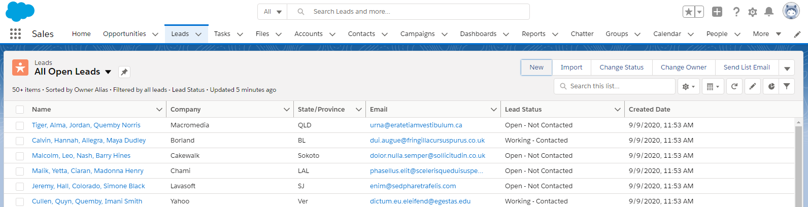 A visual showing the data in the Salesforce leads API.