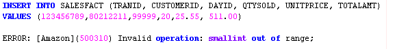Redshift Data Types - example of inserting an out-of-range value and getting an error.png